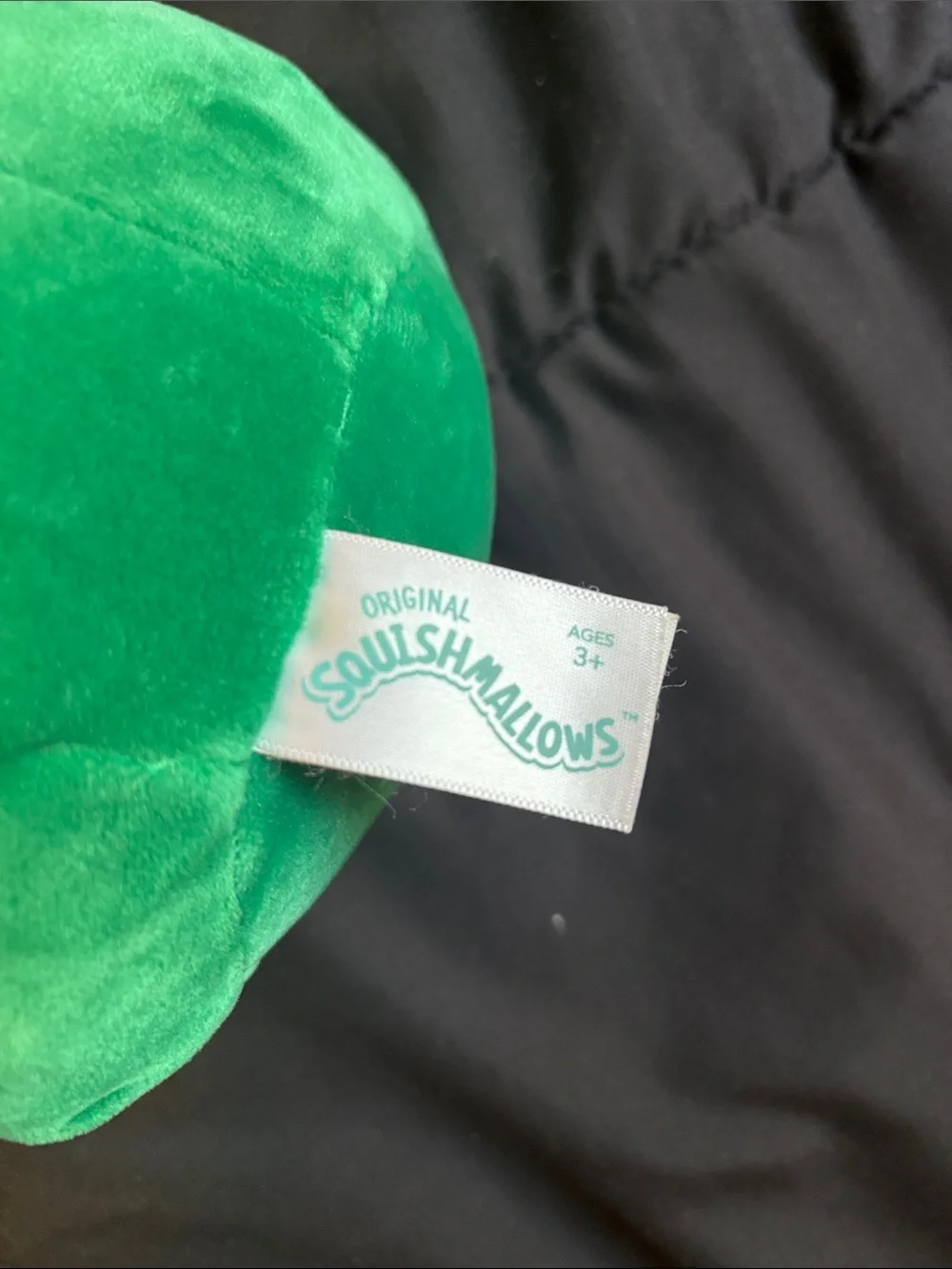 Squishmallow Plush Frog, Raccoon & Avocado dog